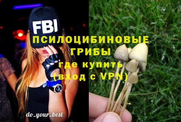 МДПВ Алзамай