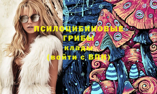 МДПВ Алзамай